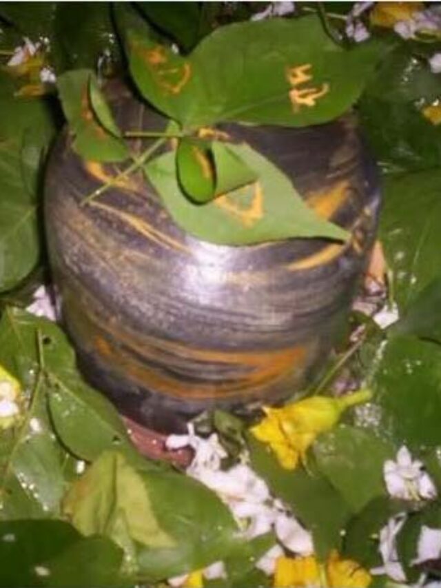 इस महाशिवरात्रि ऐसे चढ़ाये बेलपत्र होंगे भोलेनाथ प्रसन्न